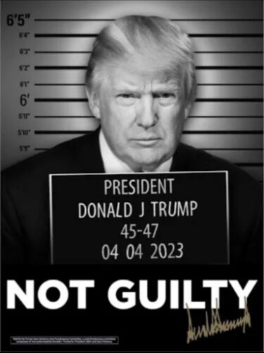 President Donald J. Trump “Not Guilty” Signed Poster 18×24 AUTHENTIC AUTOGRAPH
